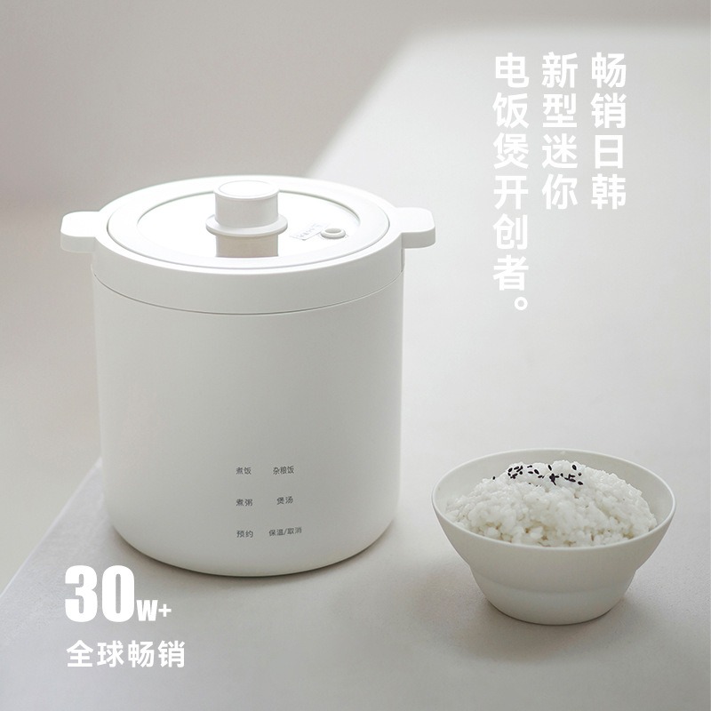 Mini cuiseur à riz en forme de - Rice Cooker avis et prix