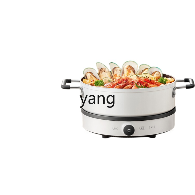 Cuisinière à induction LMM, mu - Induction Cooker avis et prix